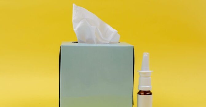 Natural Relief for Seasonal Allergies